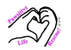 It’s A Pawsitive Life